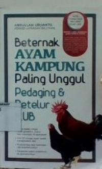 Beternak Ayam Kampung Paling Unggul Pedaging dan Petelur KUB