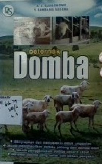 Beternak Domba