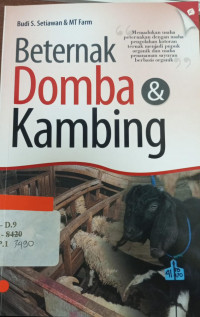 Beternak Domba dan Kambing