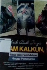 Teknik Budidaya Ayam Kalkun